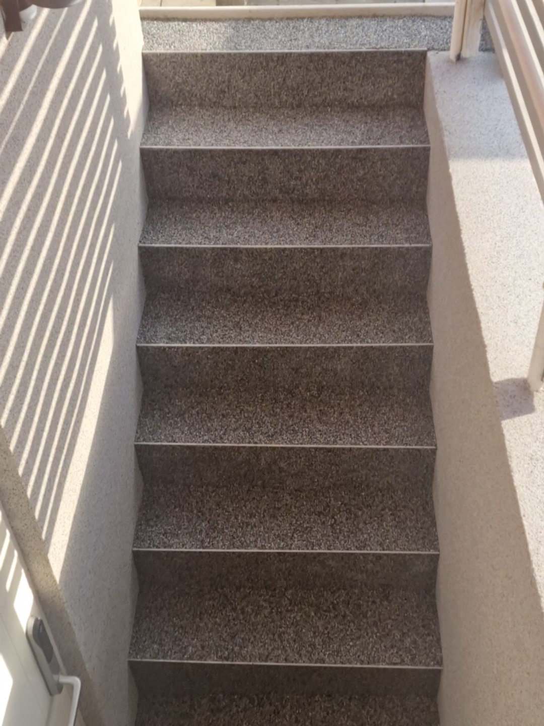 1000032727.jpg