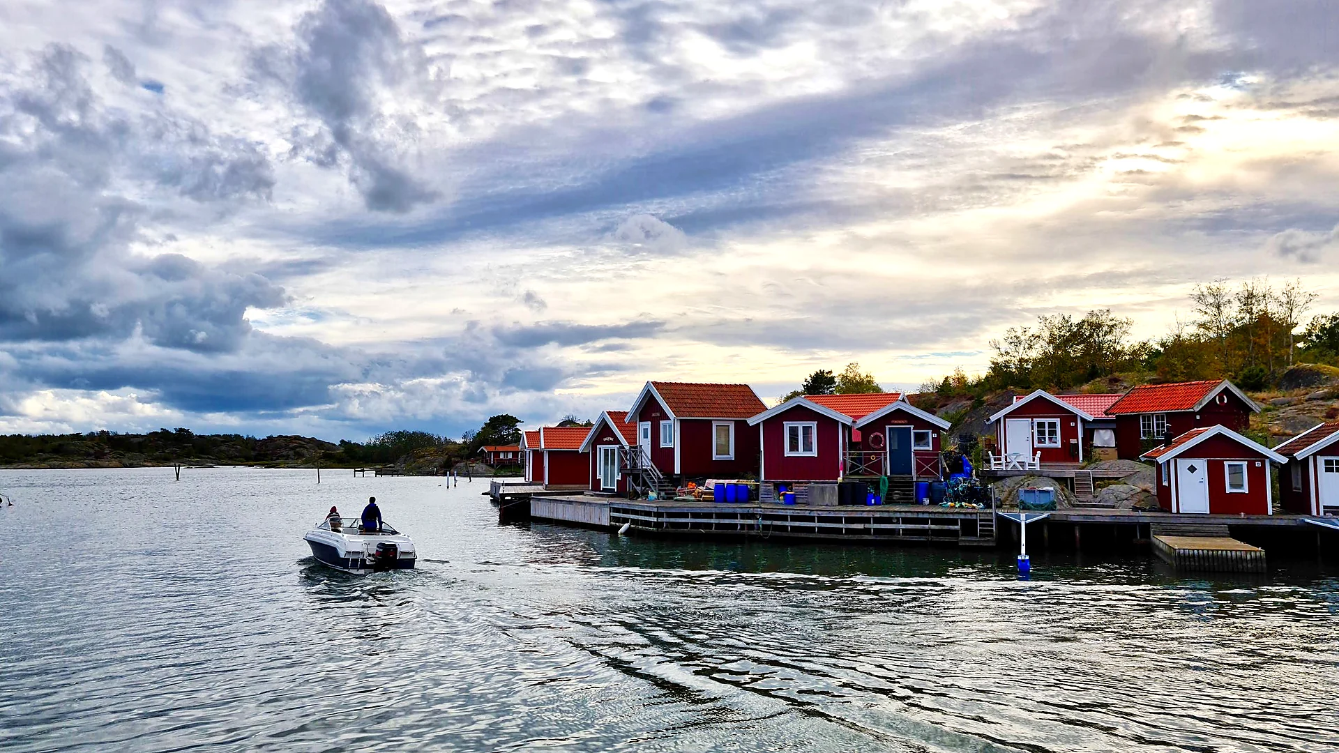 Traditionella röda svenska trähus med vita knutar vid sjö och skog